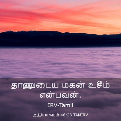 Picture 03 - ஆதியாகமம் 46:23 TAMIRV - தாணுடைய மகன் - Bible Verse Picture