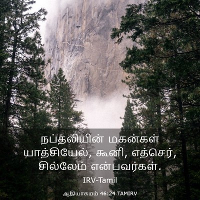 Picture 03 - ஆதியாகமம் 46:24 TAMIRV - நப்தலியின் - Bible Verse Picture