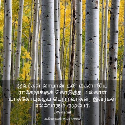 Picture 03 - ஆதியாகமம் 46:25 TAMIRV - இவர்கள் லாபான் - Bible Verse Picture