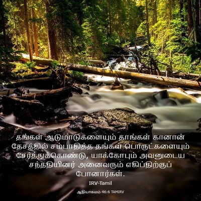 Picture 03 - ஆதியாகமம் 46:6 TAMIRV - தங்கள் - Bible Verse Picture