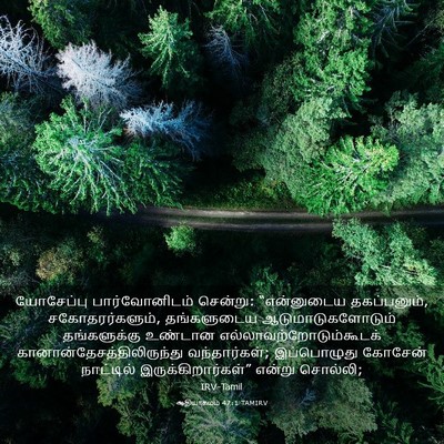 Picture 03 - ஆதியாகமம் 47:1 TAMIRV - யோசேப்பு - Bible Verse Picture