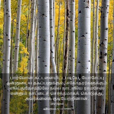 Picture 03 - ஆதியாகமம் 47:11 TAMIRV - பார்வோன் - Bible Verse Picture