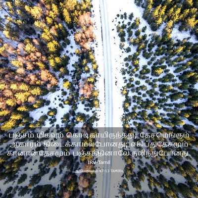 Picture 03 - ஆதியாகமம் 47:13 TAMIRV - பஞ்சம் மிகவும் - Bible Verse Picture