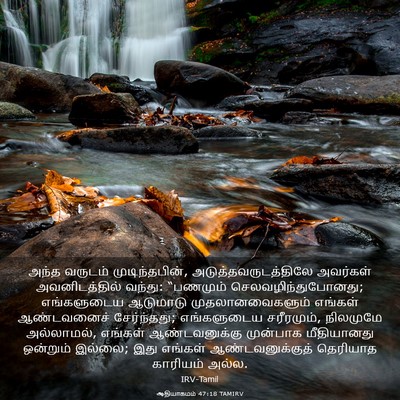 Picture 03 - ஆதியாகமம் 47:18 TAMIRV - அந்த வருடம் - Bible Verse Picture