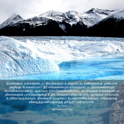 Picture 03 - ஆதியாகமம் 47:19 TAMIRV - நாங்களும் - Bible Verse Picture
