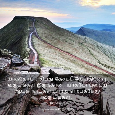 Picture 03 - ஆதியாகமம் 47:28 TAMIRV - யாக்கோபு எகிப்து - Bible Verse Picture