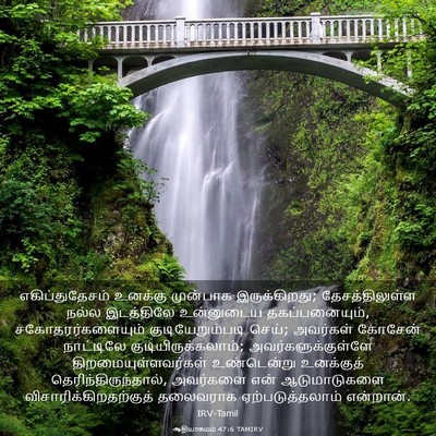 Picture 03 - ஆதியாகமம் 47:6 TAMIRV - எகிப்துதேசம் - Bible Verse Picture