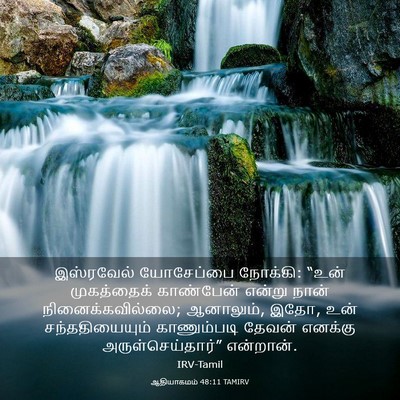 Picture 03 - ஆதியாகமம் 48:11 TAMIRV - இஸ்ரவேல் யோசேப்பை - Bible Verse Picture