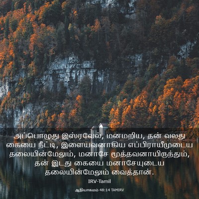 Picture 03 - ஆதியாகமம் 48:14 TAMIRV - அப்பொழுது - Bible Verse Picture
