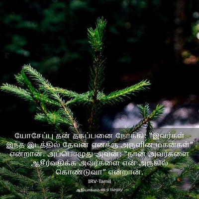 Picture 03 - ஆதியாகமம் 48:9 TAMIRV - யோசேப்பு தன் - Bible Verse Picture