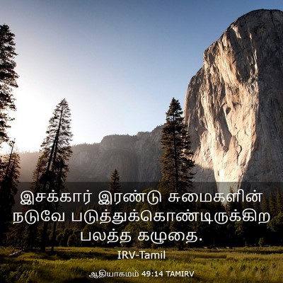 Picture 03 - ஆதியாகமம் 49:14 TAMIRV - இசக்கார் இரண்டு - Bible Verse Picture