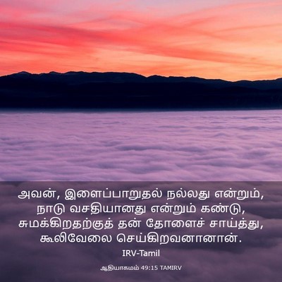 Picture 03 - ஆதியாகமம் 49:15 TAMIRV - அவன், - Bible Verse Picture