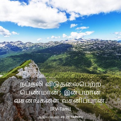 Picture 03 - ஆதியாகமம் 49:21 TAMIRV - நப்தலி - Bible Verse Picture