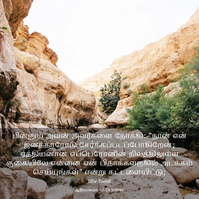 Picture 03 - ஆதியாகமம் 49:29 TAMIRV - பின்னும் அவன் - Bible Verse Picture