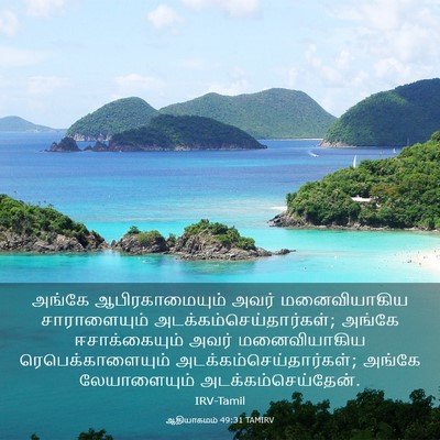 Picture 03 - ஆதியாகமம் 49:31 TAMIRV - அங்கே - Bible Verse Picture
