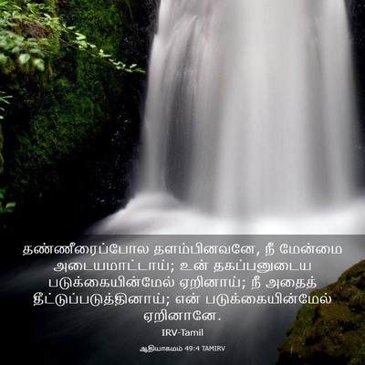 Picture 03 - ஆதியாகமம் 49:4 TAMIRV - தண்ணீரைப்போல - Bible Verse Picture