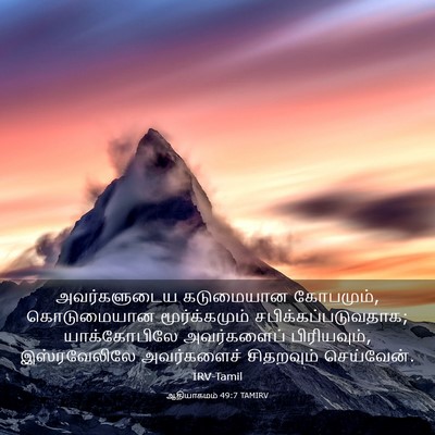 Picture 03 - ஆதியாகமம் 49:7 TAMIRV - அவர்களுடைய - Bible Verse Picture