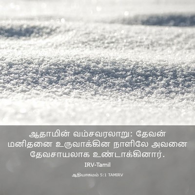 Picture 03 - ஆதியாகமம் 5:1 TAMIRV - ஆதாமின் - Bible Verse Picture