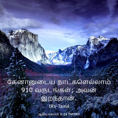 Picture 03 - ஆதியாகமம் 5:14 TAMIRV - கேனானுடைய - Bible Verse Picture