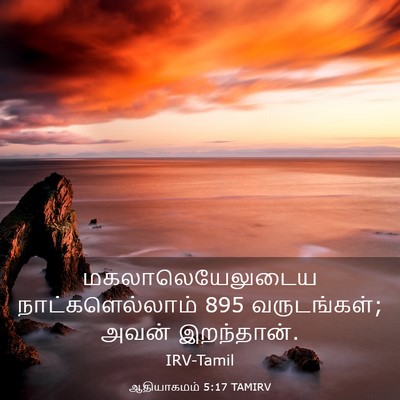 Picture 03 - ஆதியாகமம் 5:17 TAMIRV - மகலாலெயேலுடைய - Bible Verse Picture