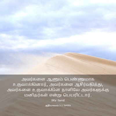 Picture 03 - ஆதியாகமம் 5:2 TAMIRV - அவர்களை ஆணும் - Bible Verse Picture