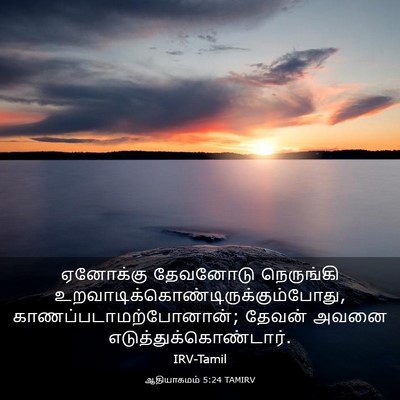 Picture 03 - ஆதியாகமம் 5:24 TAMIRV - ஏனோக்கு தேவனோடு - Bible Verse Picture