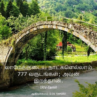 Picture 03 - ஆதியாகமம் 5:31 TAMIRV - லாமேக்குடைய - Bible Verse Picture
