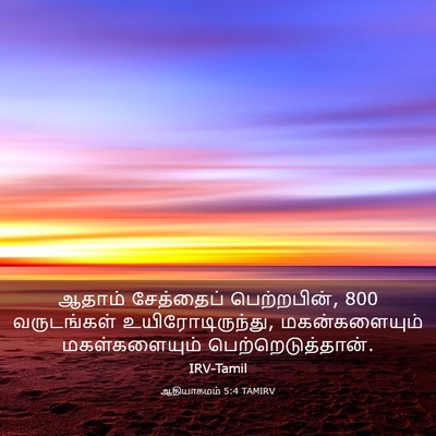 Picture 03 - ஆதியாகமம் 5:4 TAMIRV - ஆதாம் சேத்தைப் - Bible Verse Picture