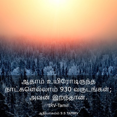 Picture 03 - ஆதியாகமம் 5:5 TAMIRV - ஆதாம் - Bible Verse Picture