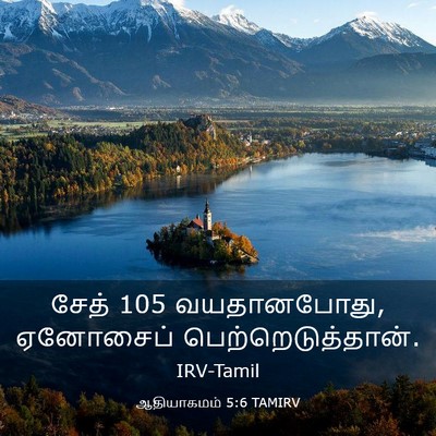 Picture 03 - ஆதியாகமம் 5:6 TAMIRV - சேத் 105 வயதானபோது, - Bible Verse Picture