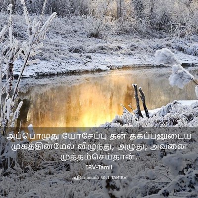 Picture 03 - ஆதியாகமம் 50:1 TAMIRV - அப்பொழுது - Bible Verse Picture