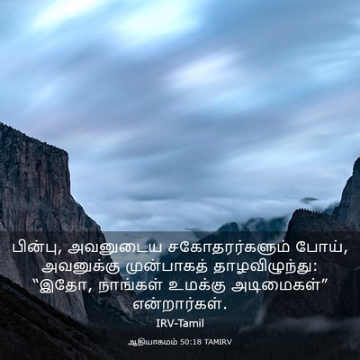 Picture 03 - ஆதியாகமம் 50:18 TAMIRV - பின்பு, அவனுடைய - Bible Verse Picture