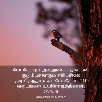Picture 03 - ஆதியாகமம் 50:22 TAMIRV - யோசேப்பும் - Bible Verse Picture