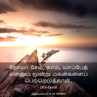 Picture 03 - ஆதியாகமம் 6:10 TAMIRV - நோவா சேம், காம், - Bible Verse Picture