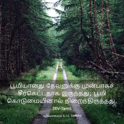 Picture 03 - ஆதியாகமம் 6:11 TAMIRV - பூமியானது - Bible Verse Picture