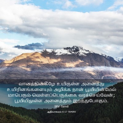 Picture 03 - ஆதியாகமம் 6:17 TAMIRV - வானத்தின்கீழே - Bible Verse Picture