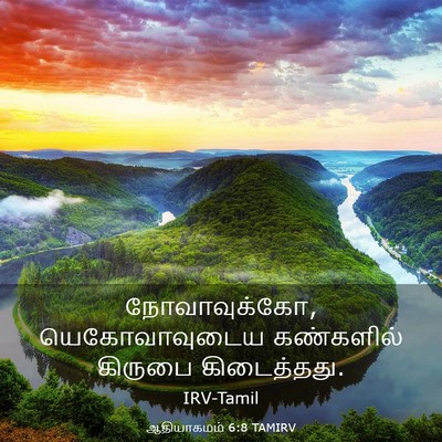 Picture 03 - ஆதியாகமம் 6:8 TAMIRV - நோவாவுக்கோ, - Bible Verse Picture