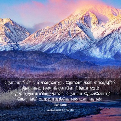 Picture 03 - ஆதியாகமம் 6:9 TAMIRV - நோவாவின் - Bible Verse Picture