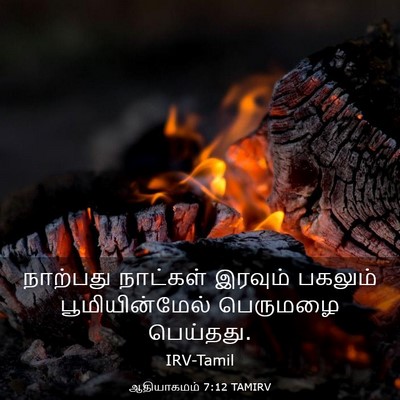 Picture 03 - ஆதியாகமம் 7:12 TAMIRV - நாற்பது நாட்கள் - Bible Verse Picture