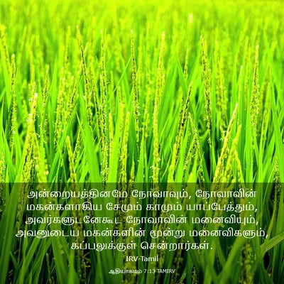 Picture 03 - ஆதியாகமம் 7:13 TAMIRV - அன்றையத்தினமே - Bible Verse Picture