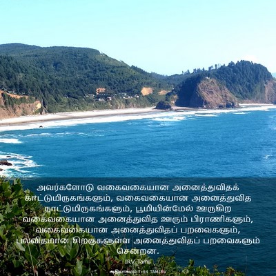 Picture 03 - ஆதியாகமம் 7:14 TAMIRV - அவர்களோடு - Bible Verse Picture