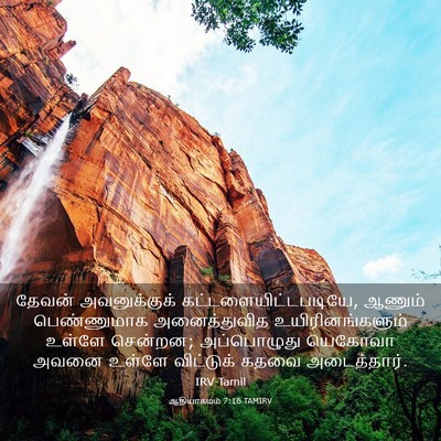 Picture 03 - ஆதியாகமம் 7:16 TAMIRV - தேவன் அவனுக்குக் - Bible Verse Picture