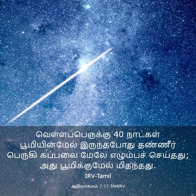 Picture 03 - ஆதியாகமம் 7:17 TAMIRV - வெள்ளப்பெருக்கு 40 - Bible Verse Picture