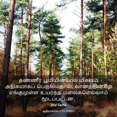 Picture 03 - ஆதியாகமம் 7:19 TAMIRV - தண்ணீர் - Bible Verse Picture