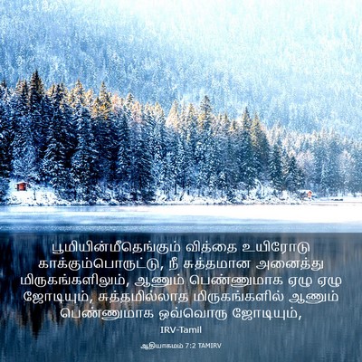 Picture 03 - ஆதியாகமம் 7:2 TAMIRV -  - Bible Verse Picture