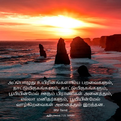 Picture 03 - ஆதியாகமம் 7:21 TAMIRV - அப்பொழுது - Bible Verse Picture