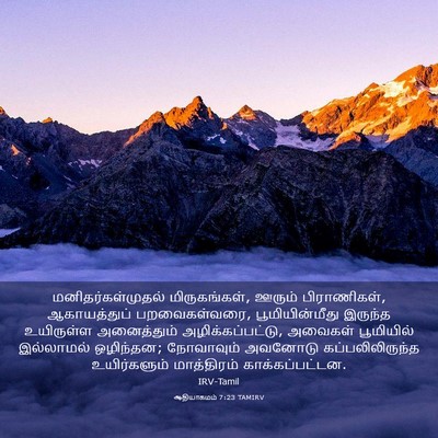 Picture 03 - ஆதியாகமம் 7:23 TAMIRV - மனிதர்கள்முதல் - Bible Verse Picture