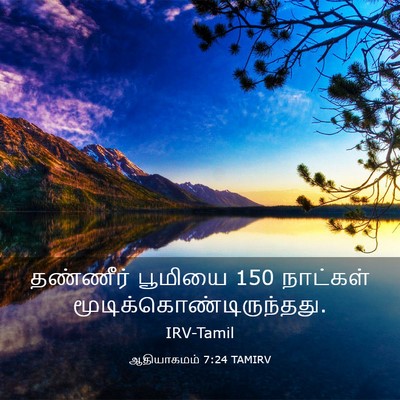 Picture 03 - ஆதியாகமம் 7:24 TAMIRV - தண்ணீர் பூமியை 150 - Bible Verse Picture