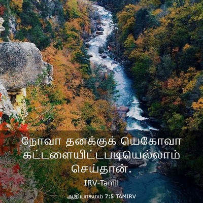 Picture 03 - ஆதியாகமம் 7:5 TAMIRV - நோவா தனக்குக் - Bible Verse Picture
