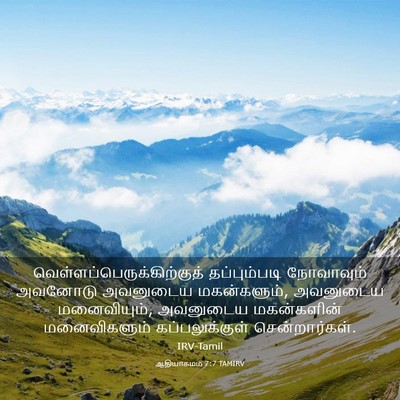 Picture 03 - ஆதியாகமம் 7:7 TAMIRV -  - Bible Verse Picture